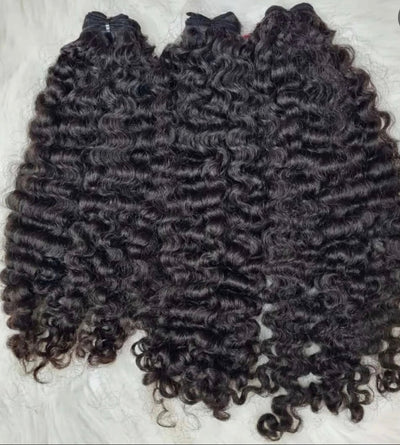 Burmese Curly